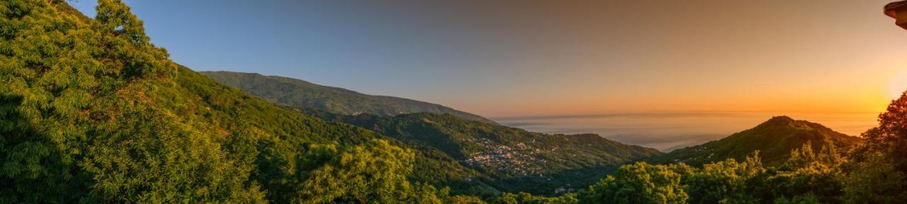 A Dream Deferred Villa Pelion Kissos  Exterior foto